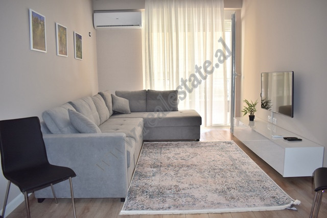 One bedroom apartment for rent in Komuna e Parisit area in Tirana, Albania